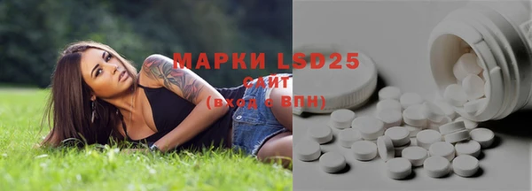 гидра Пересвет