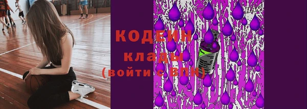 гидра Пересвет